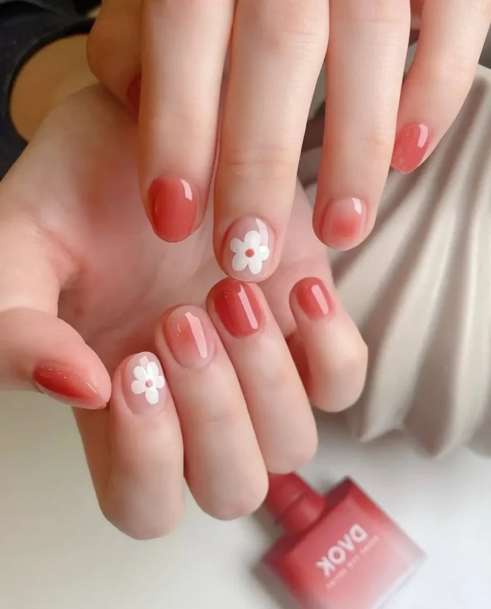 Cute gel manicure in warm coral with a blush gradient effect and simple white daisy flower accents on short nails.